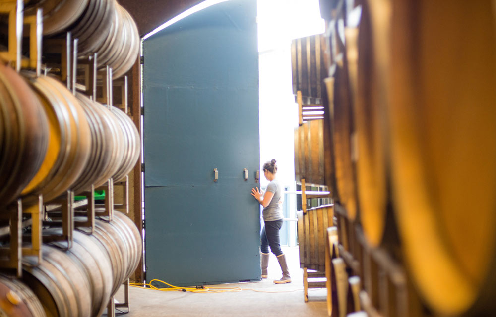 Chehalem Winery