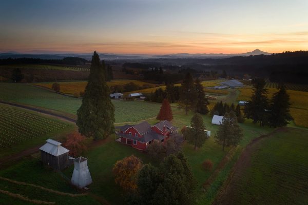 Chehalem House